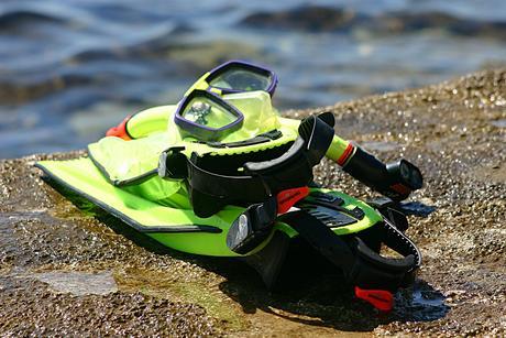 Snorkleustyr